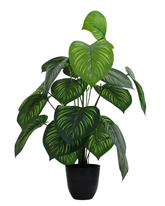 Artificial Philodendron Gloriosum Plant 60cm (2ft)